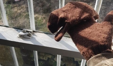 Tabi Gloves